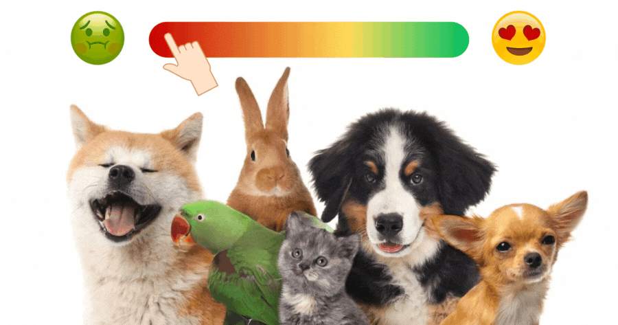 How Much Does Your Pet Like You?